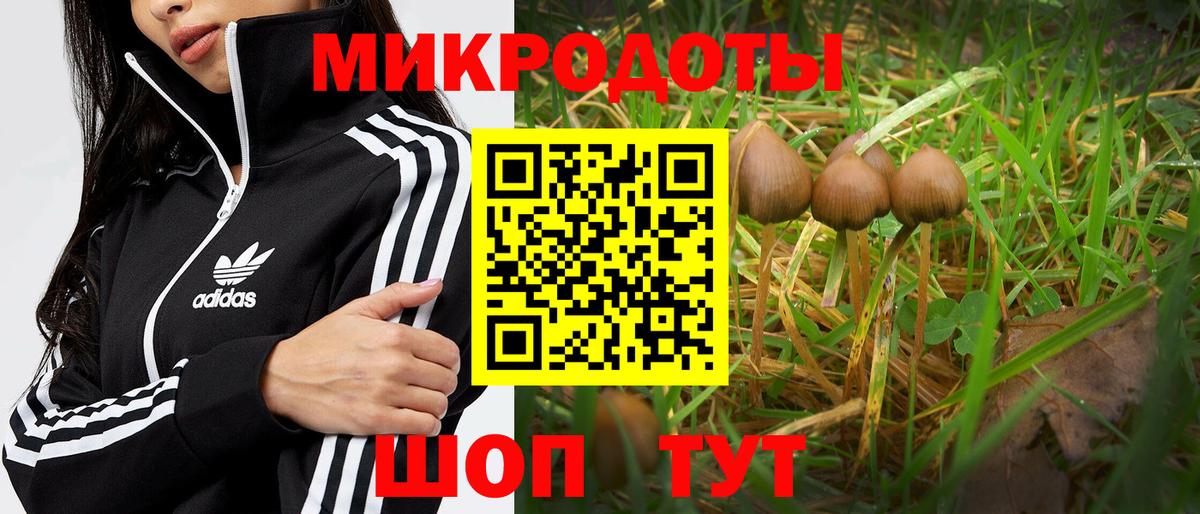 Галлюциногенные грибы Magic Shrooms  Вход с VPN  Альметьевск 